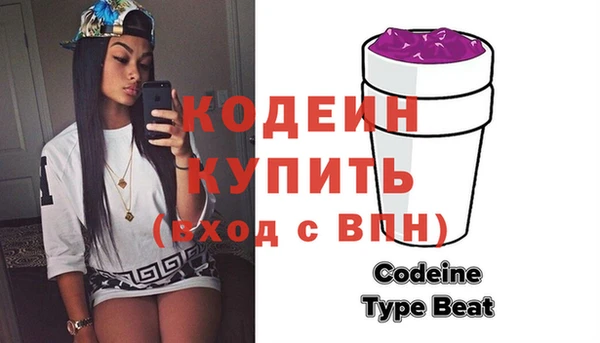 дмт Инта