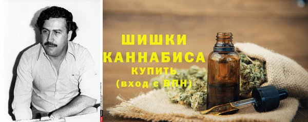стаф Инсар