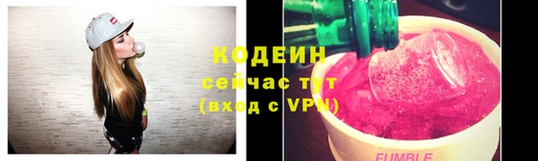 дмт Инта