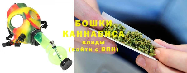 стаф Инсар