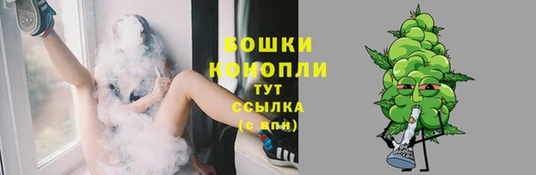 стаф Инсар