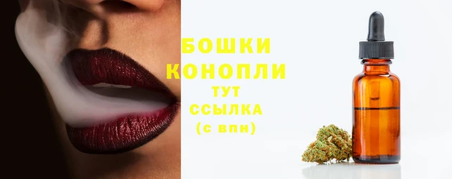 стаф Инсар