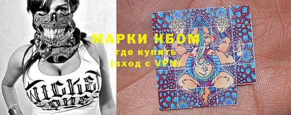 дмт Инта