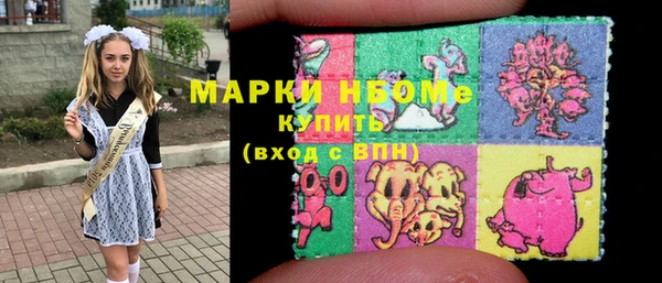дмт Инта