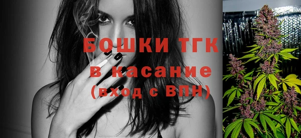 дмт Инта