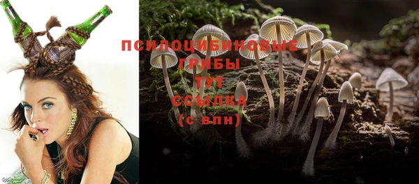 дмт Инта