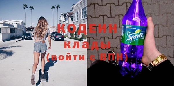 мдпв Каменногорск