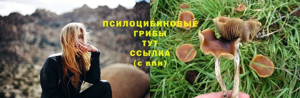 стаф Инсар