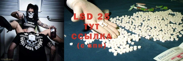 дмт Инта